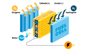 Hydrogen fuel cell: Cavagna is on it!